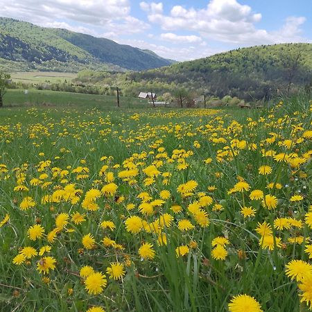 Orlik - Pokoje Goscinne Uscie Gorlickie Buitenkant foto