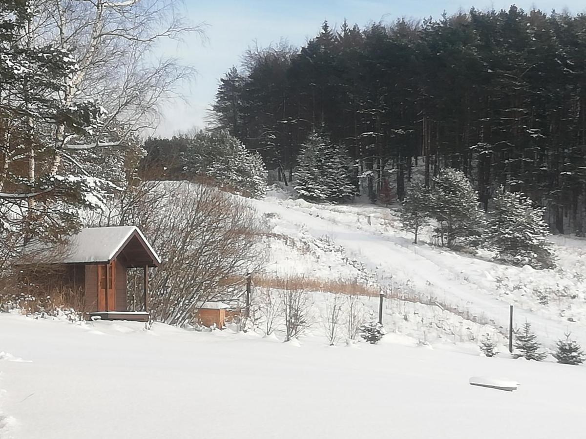 Orlik - Pokoje Goscinne Uscie Gorlickie Buitenkant foto