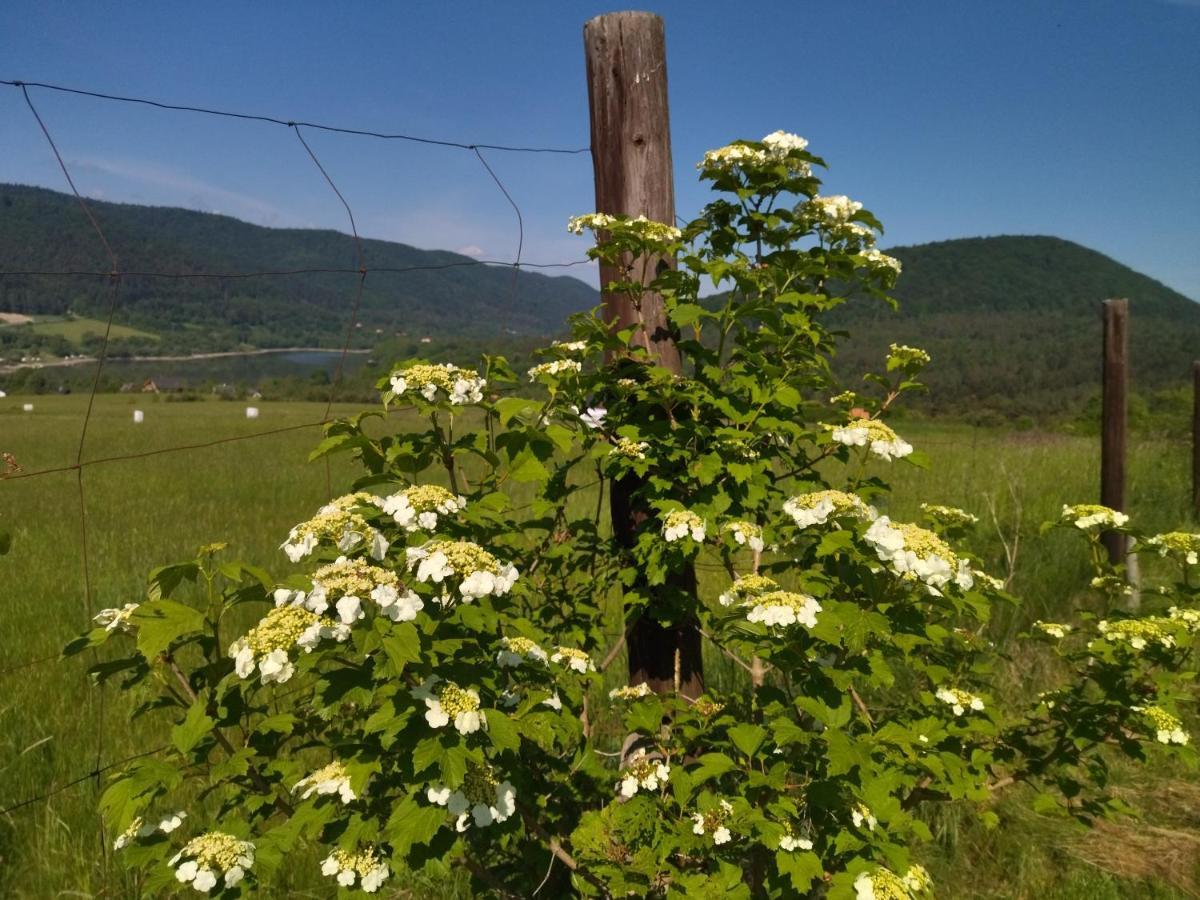 Orlik - Pokoje Goscinne Uscie Gorlickie Buitenkant foto
