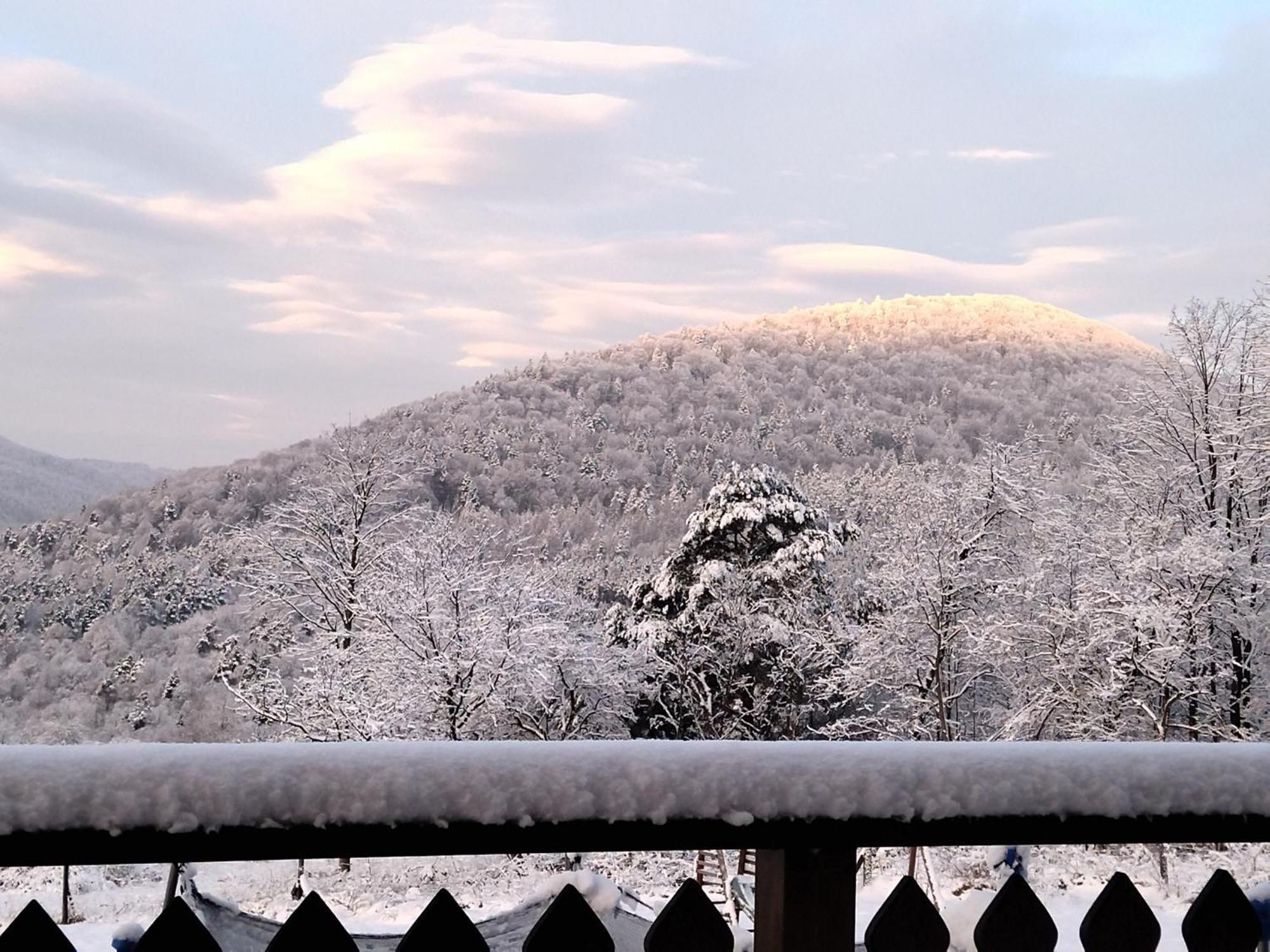 Orlik - Pokoje Goscinne Uscie Gorlickie Buitenkant foto