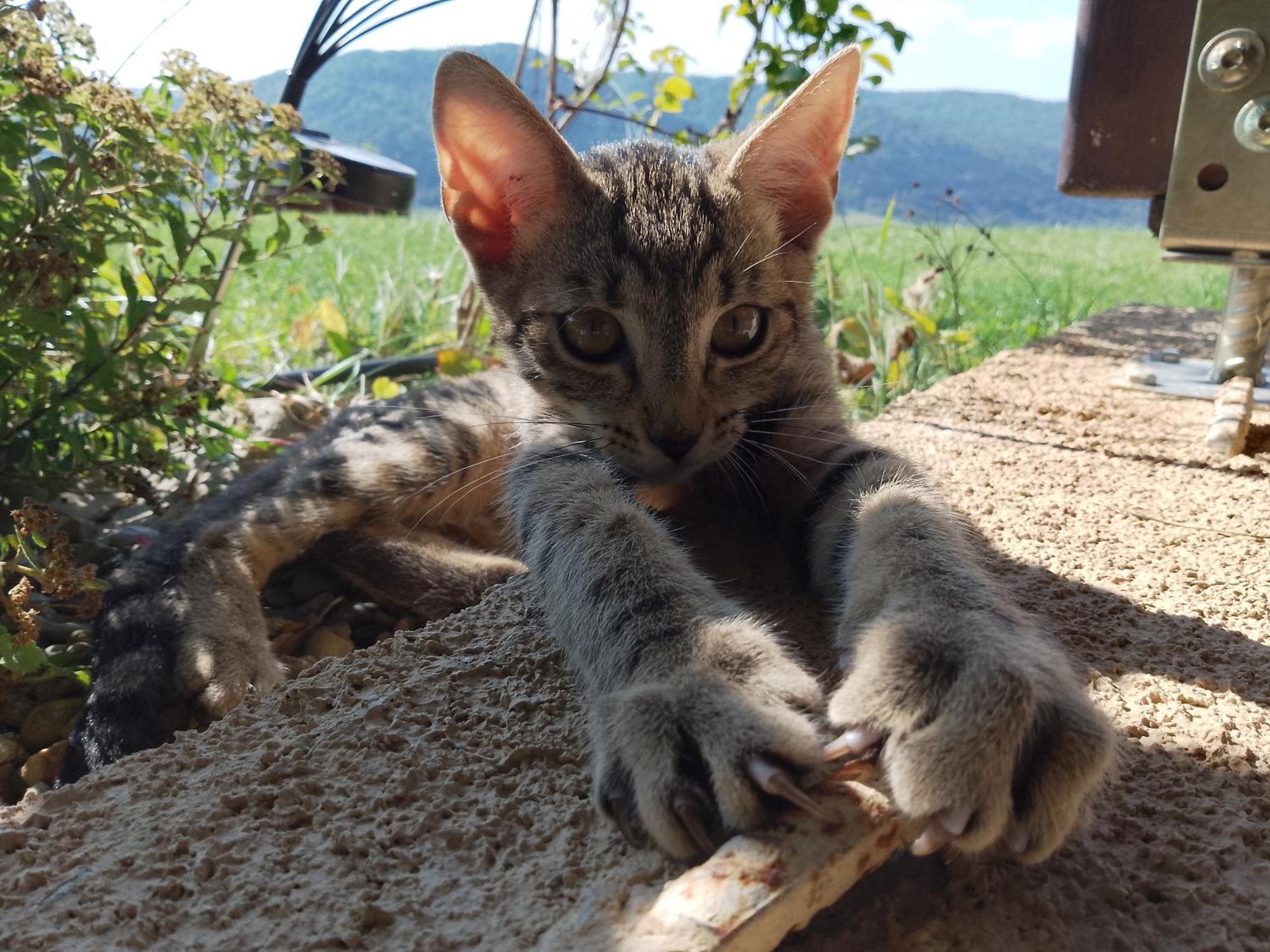 Orlik - Pokoje Goscinne Uscie Gorlickie Buitenkant foto